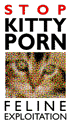 kittyporn.jpg